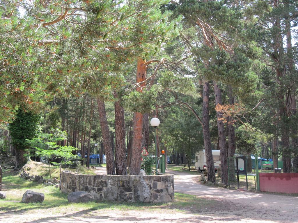 Camping Cobijo Vinuesa Εξωτερικό φωτογραφία